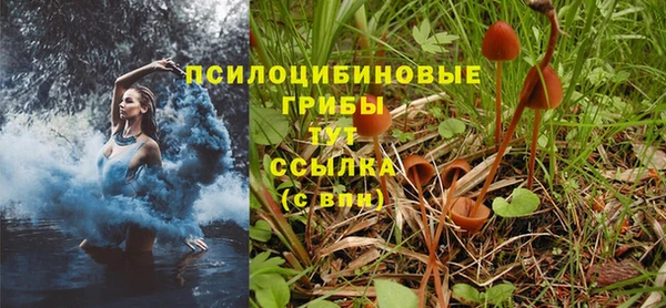 гидропоника Белокуриха