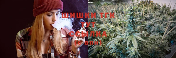 гидропоника Белокуриха