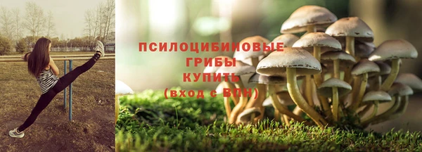 гидропоника Белокуриха