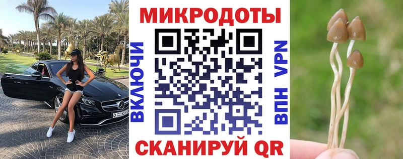 Галлюциногенные грибы мицелий Мосальск