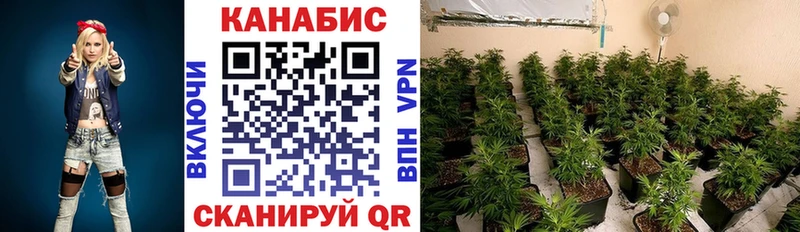 закладки  Мосальск  Шишки марихуана THC 21% 